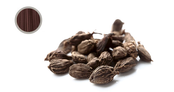 Cardamom