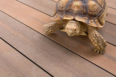 Assortiment pour terrasses